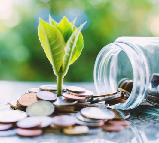 Sustentabilidade ou lucro