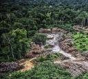 Reações à queda dos vetos do licenciamento: Congresso ‘enterrou’ proteção ambiental